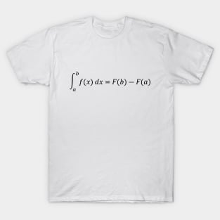 The Fundamental Theorem of Calculus (Black) T-Shirt